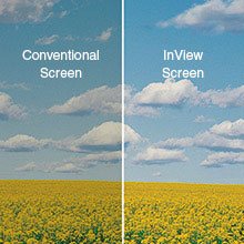Conventional Fiberglass Screens