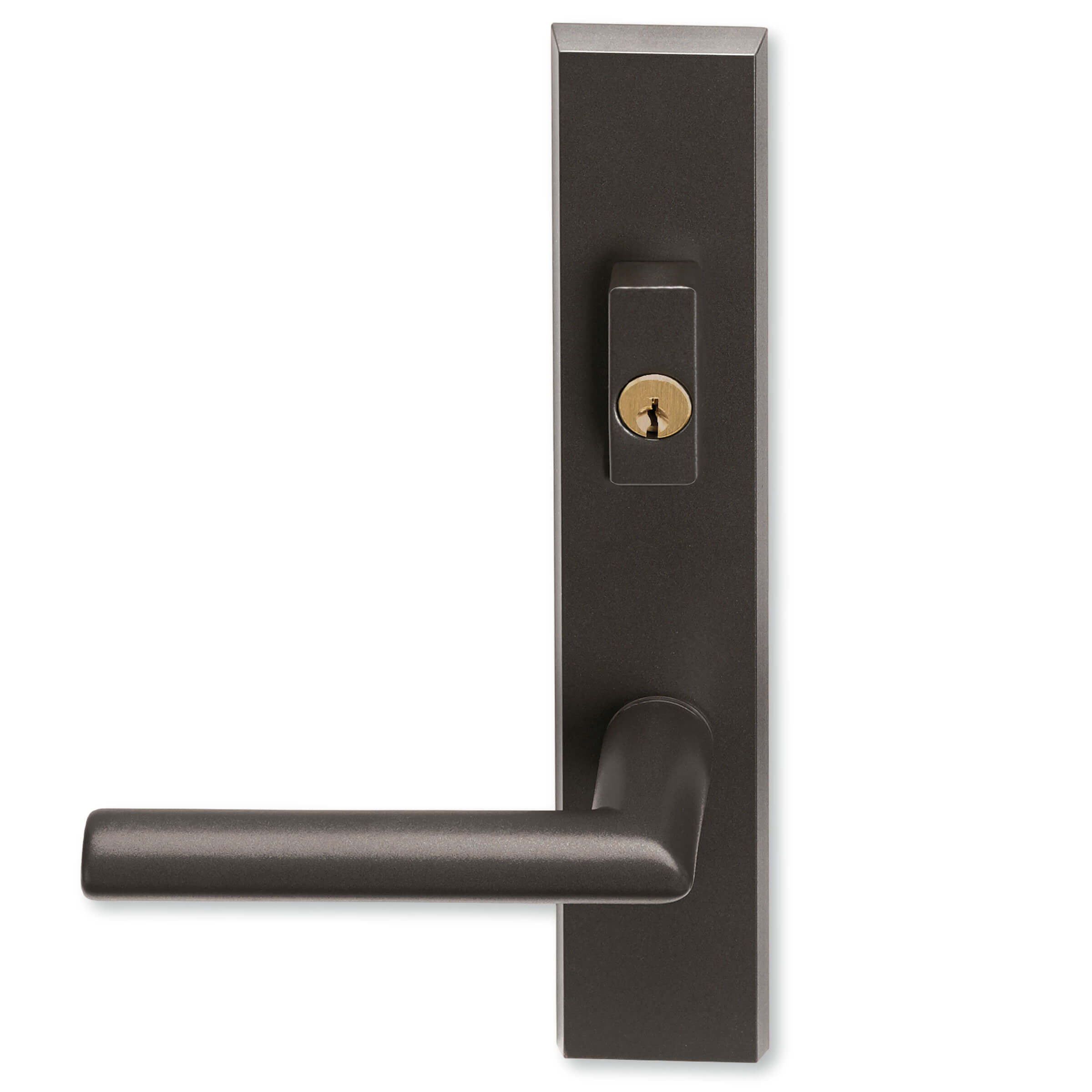 Contemporary Swinging Handle Keyed Exterior