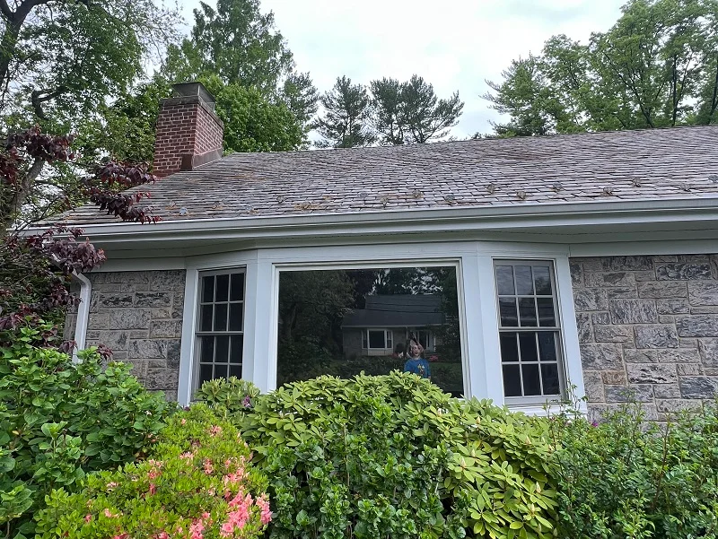 New windows needed in Scarsdale, NY